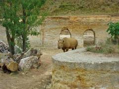 149 BIO PARC DE DOUE LA FONTAINE 4- 2016_000011